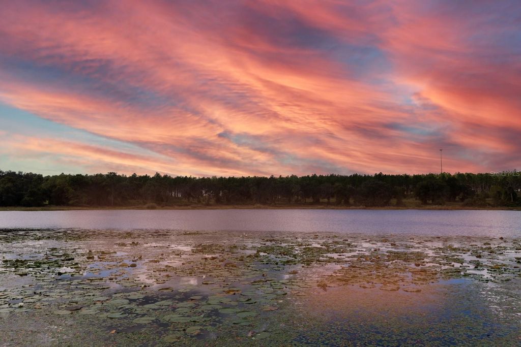 16758 SE 181ST TERRACE, Weirsdale, FL 32195