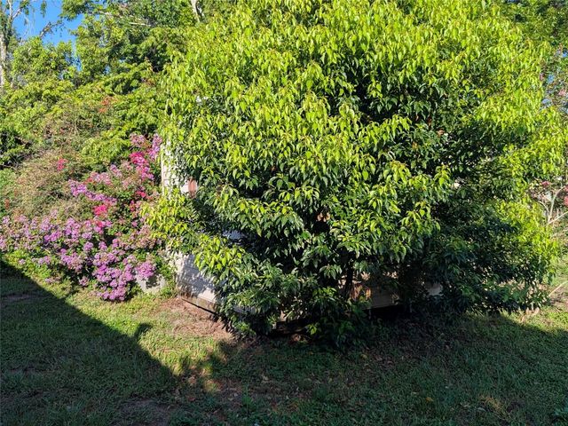 34 SEVILLA AVENUE, Arcadia, FL 34266