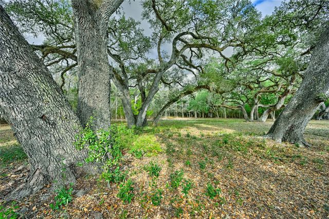 505 N Live Oak Street, Round Top, TX 78954