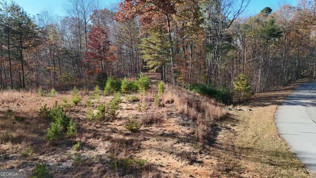 LOT 197 Springwinds Drive, Cleveland, GA 30528