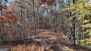 LOT 197 Springwinds Drive, Cleveland, GA 30528