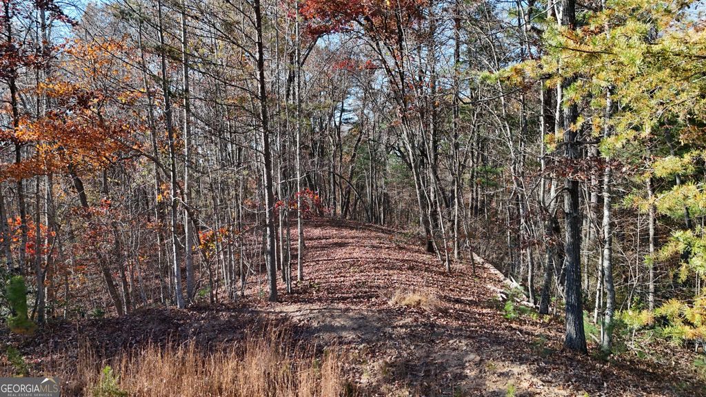 LOT 197 Springwinds Drive, Cleveland, GA 30528