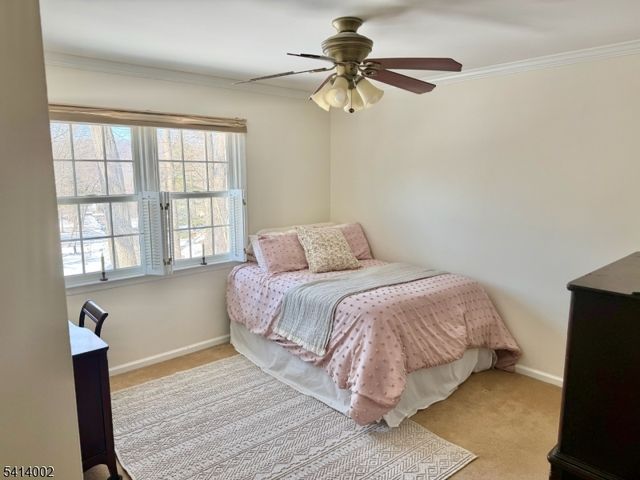 14 Fieldstone Ct, Randolph Twp., NJ 07869