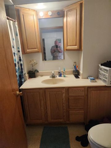 1453 Yeomans Street, Ionia, MI 48846