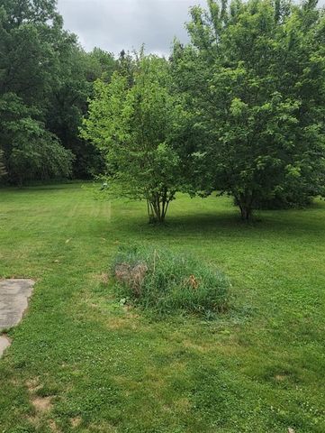 1453 Yeomans Street, Ionia, MI 48846