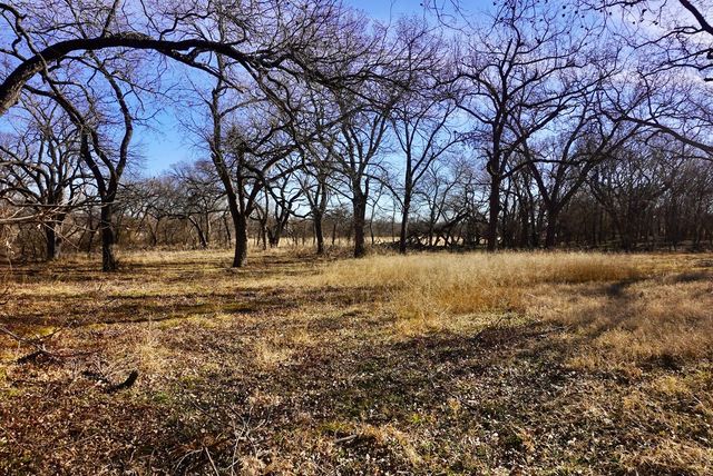 374 County Road 2315, Decatur, TX 76234