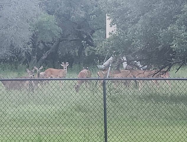400 Indian Hills Road, Gatesville, TX 76528