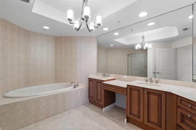 5823 BOWEN DANIEL DRIVE 401, Tampa, FL 33616