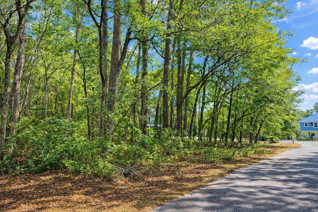 Image 1 of property listing at 890 Flowers Lane, Edisto Island, SC 29438