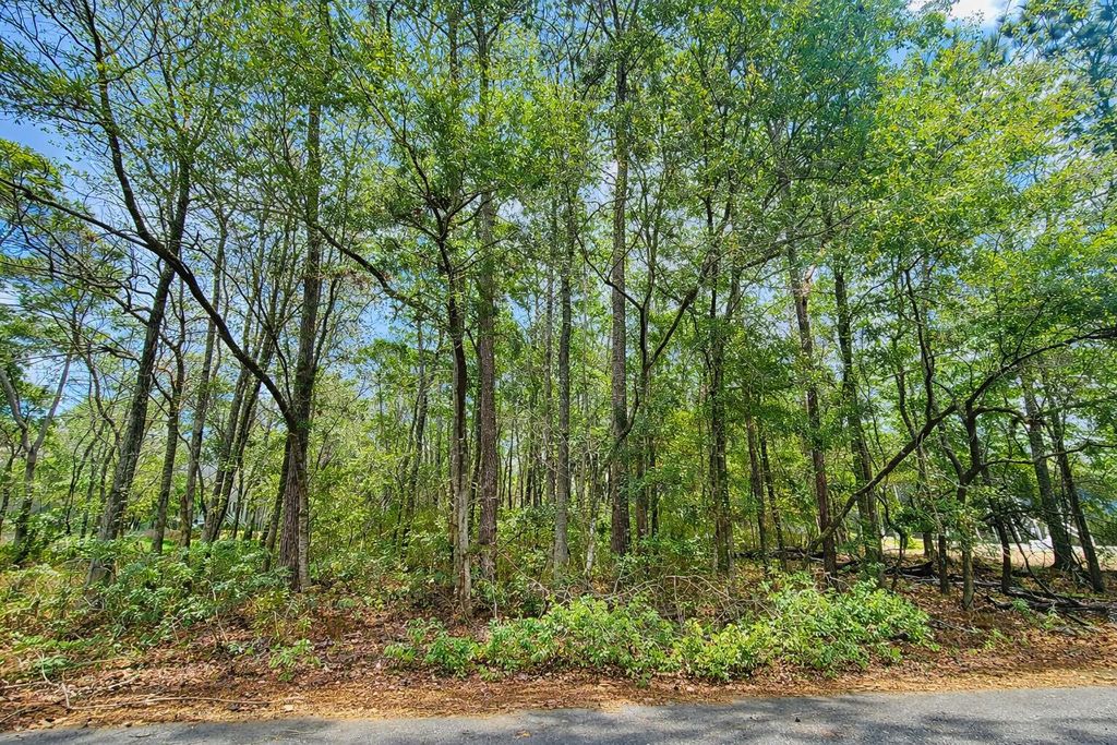 Image 3 of property listing at 890 Flowers Lane, Edisto Island, SC 29438