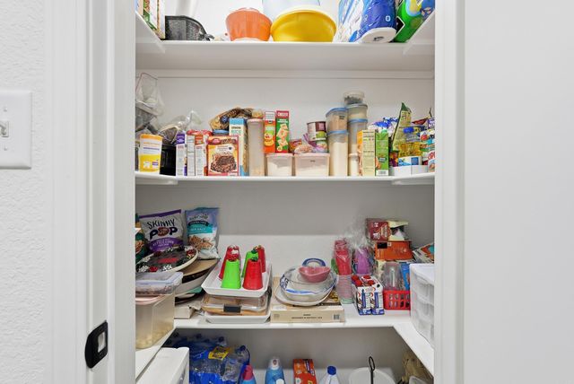 1295 AGOGO Lane, Conway, AR 72034