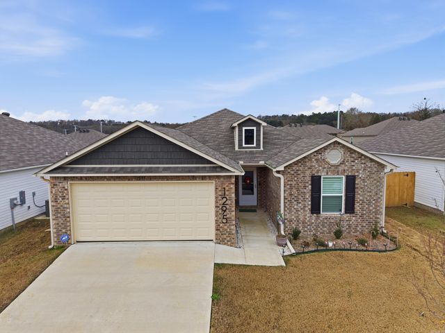 1295 AGOGO Lane, Conway, AR 72034
