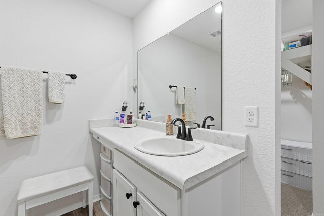 1295 AGOGO Lane, Conway, AR 72034