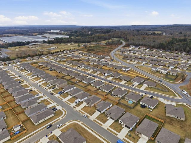 1295 AGOGO Lane, Conway, AR 72034