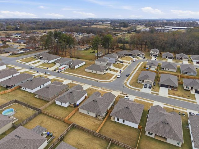 1295 AGOGO Lane, Conway, AR 72034