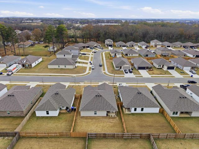 1295 AGOGO Lane, Conway, AR 72034