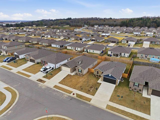 1295 AGOGO Lane, Conway, AR 72034