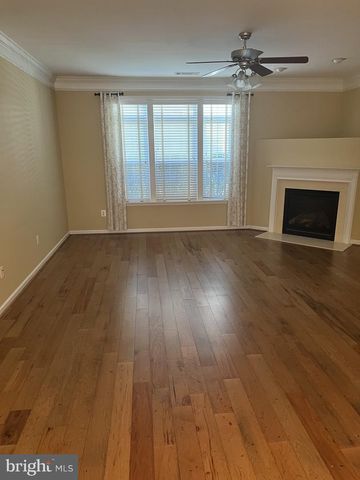 20594 GOLDEN RIDGE DR, Ashburn, VA 20147