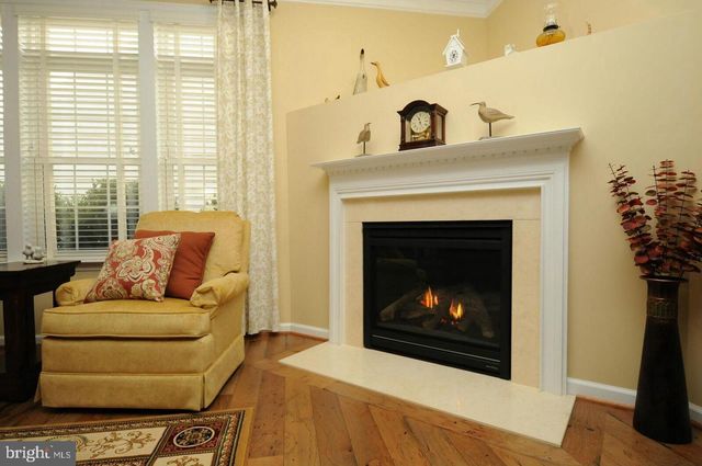 20594 GOLDEN RIDGE DR, Ashburn, VA 20147