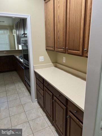 20594 GOLDEN RIDGE DR, Ashburn, VA 20147