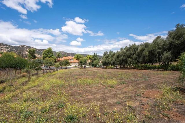 450 SUMMERHILL CT, Alpine, CA 91901