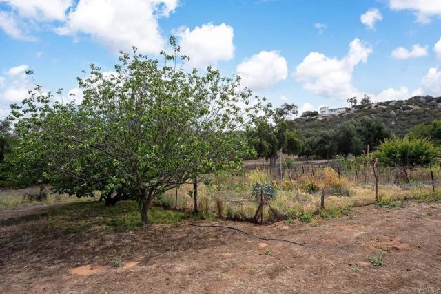 450 SUMMERHILL CT, Alpine, CA 91901