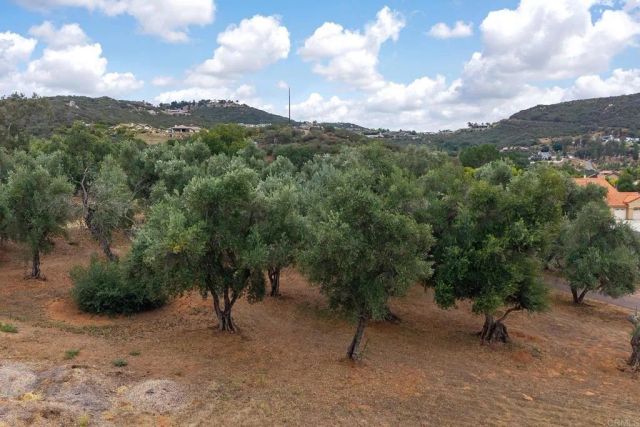 450 SUMMERHILL CT, Alpine, CA 91901