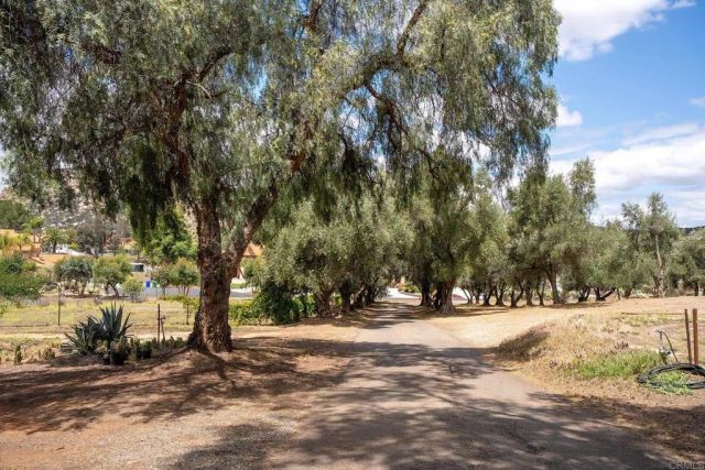 450 SUMMERHILL CT, Alpine, CA 91901