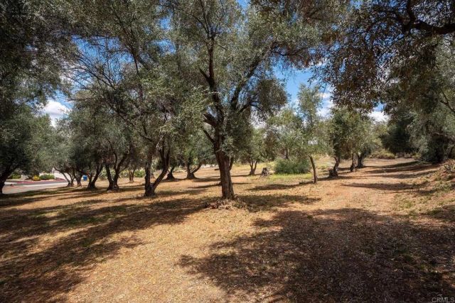 450 SUMMERHILL CT, Alpine, CA 91901
