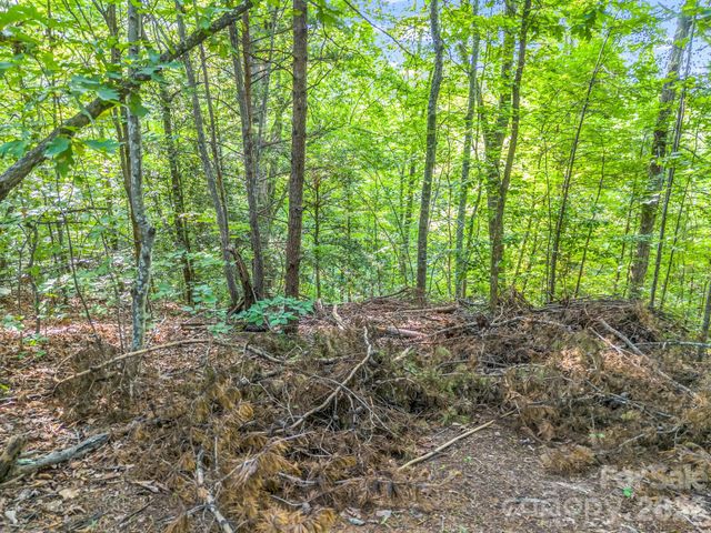 00 Laurel Lakes Parkway 44, Lake Lure, NC 28746