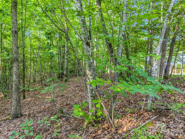 00 Laurel Lakes Parkway 44, Lake Lure, NC 28746