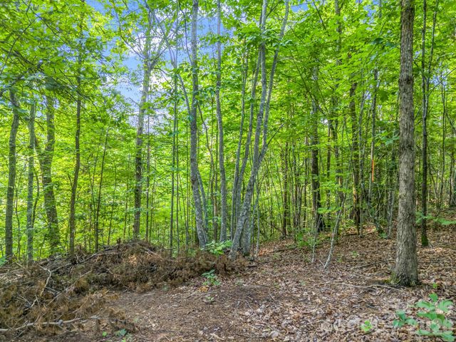 00 Laurel Lakes Parkway 44, Lake Lure, NC 28746