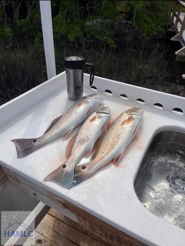 22532 Highway 144, Richmond Hill, GA 31324