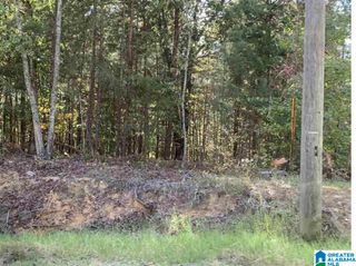 8660 PINE MOUNTAIN ROAD, Pinson, AL 35126