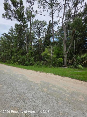 0 Pointview Road, Brooksville, FL 34601