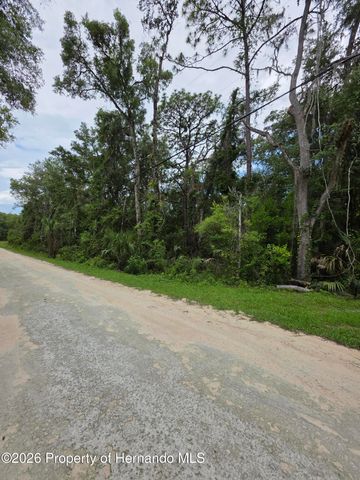 0 Pointview Road, Brooksville, FL 34601