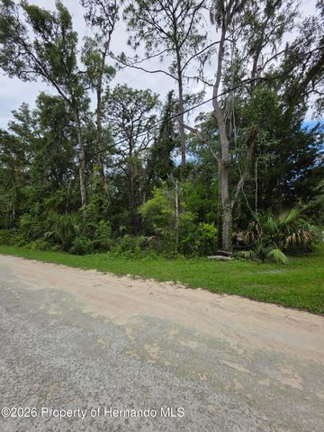 0 Pointview Road, Brooksville, FL 34601