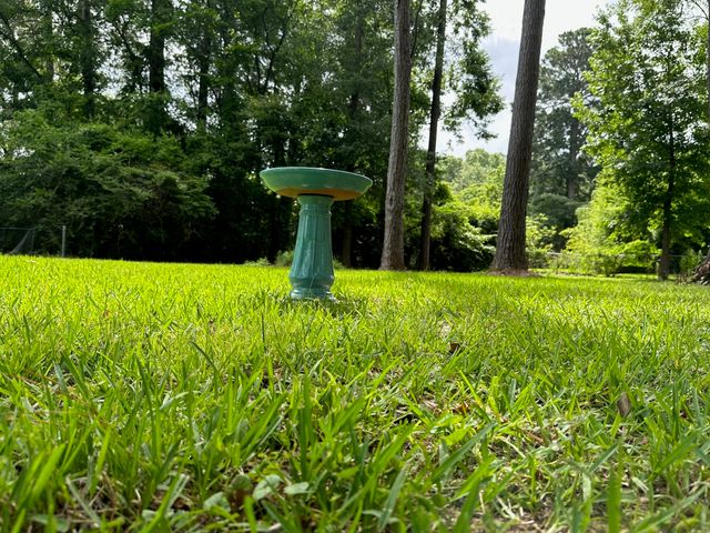 6371 Buncombe Road, Shreveport, LA 71129