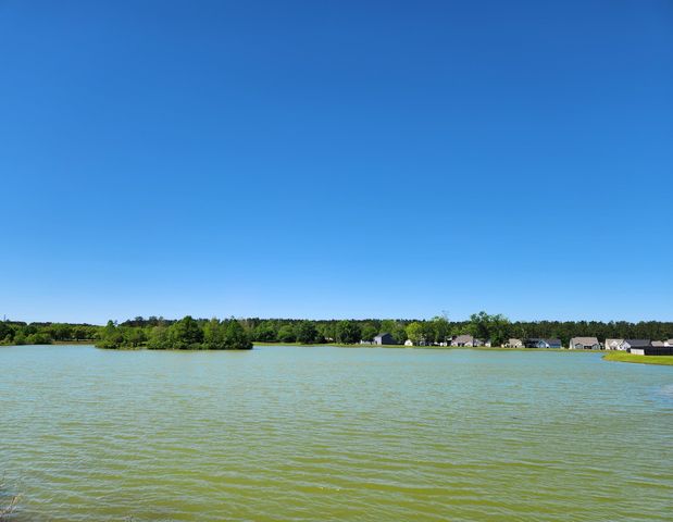 258 Darby Meadow Lane, Ridgeville, SC 29472