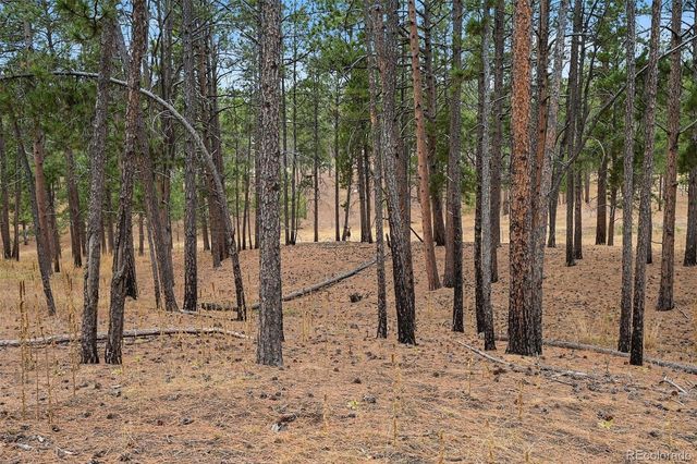 7020 Wildridge Road, Colorado Springs, CO 80908