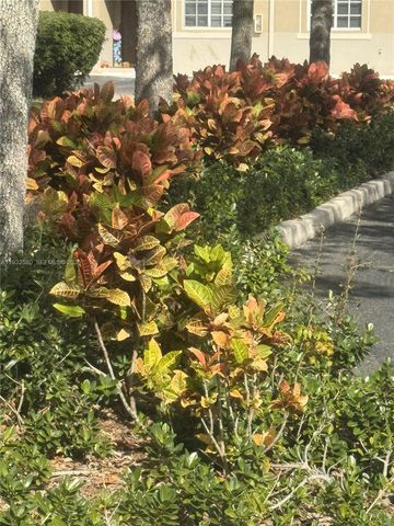 21115 NW 14th Pl 231, Miami Gardens, FL 33169