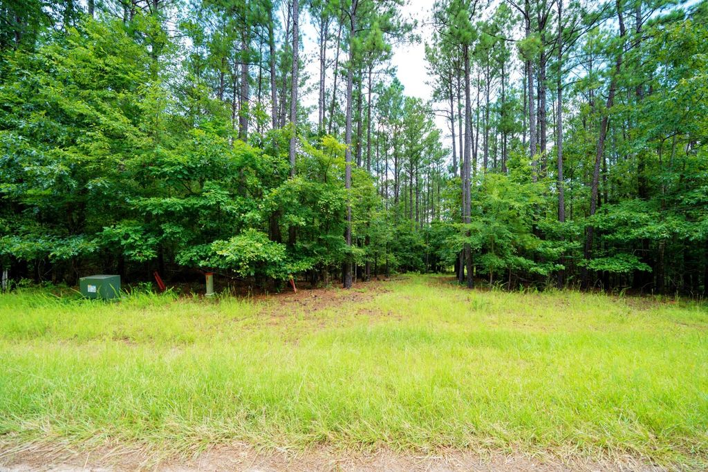 Lot 36 Savannah Ridge Road, Lincolnton, GA 30817