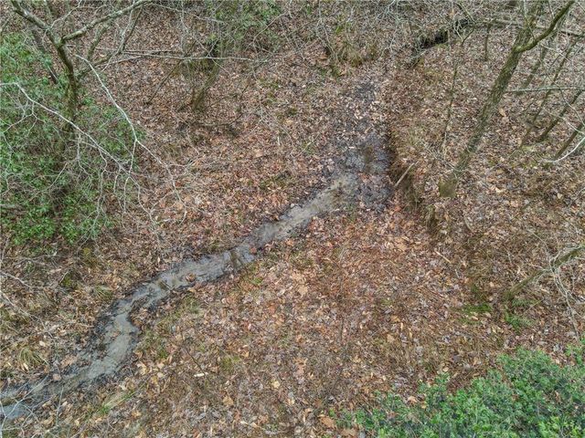 0 Bryant Creek Rd Road, Ellijay, GA 30540