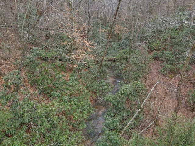0 Bryant Creek Rd Road, Ellijay, GA 30540