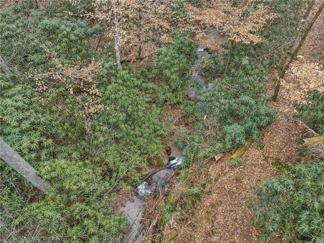 0 Bryant Creek Rd Road, Ellijay, GA 30540