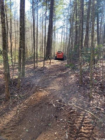 0 Bryant Creek Rd Road, Ellijay, GA 30540