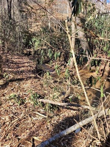 0 Bryant Creek Rd Road, Ellijay, GA 30540