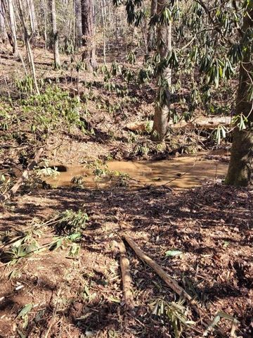 0 Bryant Creek Rd Road, Ellijay, GA 30540