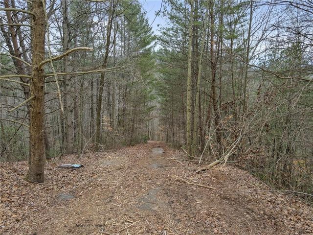 0 Bryant Creek Rd Road, Ellijay, GA 30540
