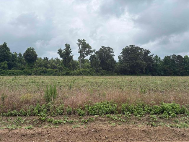 TBD Coney Dr., Longs, SC 29568